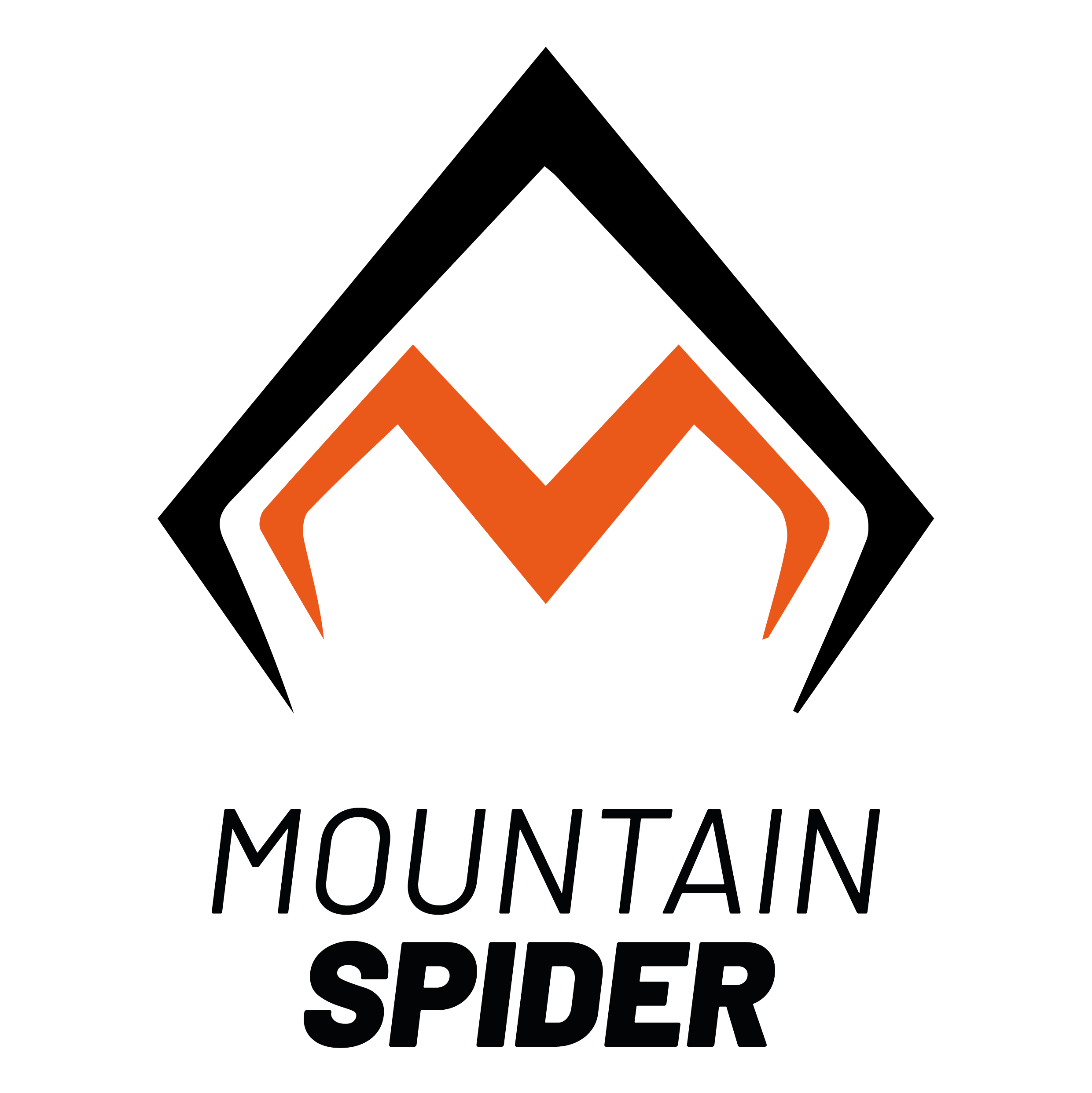mountain spider tavola disegno 1