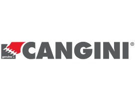 Cangini